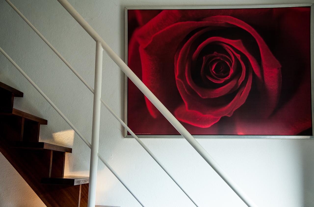 Hotel B Lodge Saint-Tropez Dış mekan fotoğraf